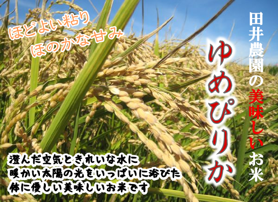 田井農園の美味しいお米「ゆめぴりか」ページへGO！